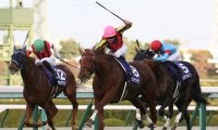ラッキーライラックが競走馬登録抹消