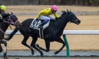 【中京4R】武豊 スコルピウスが人気に応える