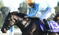 【競馬ファンが選ぶ最優秀3歳牝馬】無敗牝馬三冠デアリングタクトが圧倒的首位/netkeiba大賞 中間発表