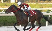 【地方競馬】昨年の園田年度代表馬はジンギ、最優秀3歳馬はステラモナーク
