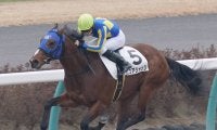 【新馬/中山3R】ピュアジャッジが人気に応えてデビューV