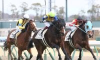 【新馬/中京5R】エアサージュが人気に応える 半兄はエアアルマス