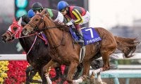 【先週のJRA抹消馬】ラッキーライラック、ノームコア、ゴールドドリームなど重賞勝ち馬6頭