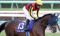 【JRA】GI・3勝馬フィエールマンが繋靱帯炎で引退、ブリーダーズSSで種牡馬に