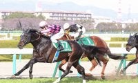 スマートオーディンが競走馬登録抹消
