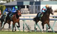 【JRA・WIN5】今週1回目のWIN5は的中348票、配当146万4170円