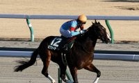 【シンザン記念】ピクシーナイトが逃げ切りV！福永祐一騎手はJRA2400勝達成