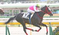 【京成杯登録馬】1勝馬同士の争い