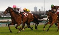 ミッキースワローが競走馬登録抹消