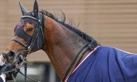 【JRA】ミッキースワローが引退、ディープインパクト孫では初の種牡馬入り