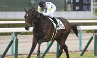【JRA】横山典弘騎手が日曜中山は乗り替わり、京成杯のアクセルは横山武史騎手に