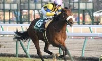 【愛知杯結果】マジックキャッスルが差し切り重賞初制覇