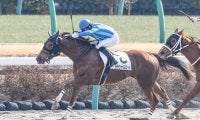 【中山4R新馬戦結果】唯一の関西馬ララシャルロットが押し切りV