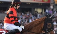 【先週のJRA抹消馬】11歳馬アクションスターが抹消、JRA現役11歳以上馬はカフェリュウジン1頭に