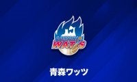 青森ワッツに駒沢颯が特別指定選手として加入「青森の代表として期待に応えられるように」