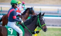 【JRA】ウラヌスチャームが引退、繁殖入り　愛知杯3着がラストランに