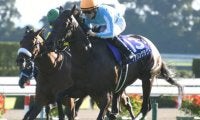 【競馬ファンが選ぶ最優秀3歳牝馬】無敗の牝馬三冠デアリングタクトが圧倒的首位/netkeiba大賞 最終結果発表