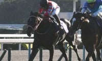 【競馬ファンが選ぶ最優秀3歳牡馬】無敗三冠のコントレイルが圧倒的な得票率でトップ/netkeiba大賞 最終結果発表