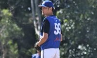 献身的な代理人に元中日助っ人…元日ハム中村勝がコロナ禍で豪州デビューするまで