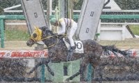 【JRA】日曜の中山競馬全レースとWIN5の夜間・早朝発売を見合わせ、降雪による影響が予想されるため