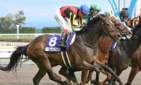 【競馬ファンが選ぶ最優秀スプリンター】グランアレグリアがダントツの票差で1位/netkeiba大賞 最終結果発表