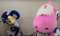 「自粛中に癒やされる」「はああああ可愛い」中日ドアラの“かるた大会”にほっこり