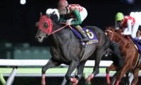 【競馬ファンが選ぶ最優秀地方馬】JBCスプリント覇者サブノジュニアが最多得票/netkeiba大賞 最終結果発表