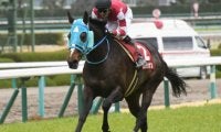 【競馬ファンが選ぶ最優秀障害馬】中山グランドジャンプVのオジュウチョウサンがトップに/netkeiba大賞 最終結果発表