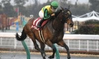 【東海S結果】オーヴェルニュが3連勝で重賞初制覇