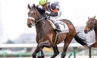 【中山6R新馬戦結果】3番人気カレンレベンティスが差し切りV