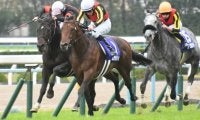 【根岸S】フルゲート16頭にステルヴィオなど27頭の登録/出走馬決定順