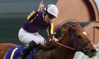 【川崎記念】張田「馬の力を信じて」カジノフォンテンが中央勢撃破