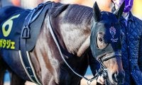 【次走】ポタジェは金鯱賞を視野に、白富士Sで4連勝