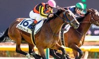 【JRA】日曜東京芝は全5レースでディープインパクト産駒が勝利
