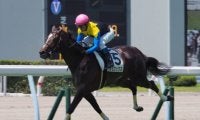【東京新聞杯 登録馬】ヴェロックスなど18頭