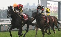 【京都記念想定】ダービー馬ワグネリアン、オークス馬ラヴズオンリーユーなど