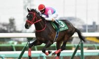 いきなり大物が現れる？「暫定」ムード漂う３歳牡馬ランキング