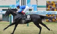 東京新聞杯からＧⅠ戦線に羽ばたくのは？　重賞初勝利を狙う２頭に期待