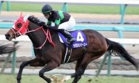 今週末から阪神開催 重賞は京都記念＆共同通信杯＆クイーンC/今週の競馬界の見どころ