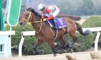 【佐賀記念】クリンチャーが9馬身差圧勝！