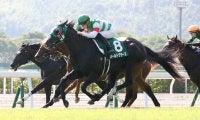 メールドグラースが競走馬登録抹消