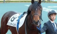 【JRA】阪神6Rでコパノカーリングが予後不良、鞍上の中井裕二騎手は異状なし