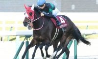 【京都記念結果】オークス馬ラヴズオンリーユーが快勝！　1年9か月ぶりのV