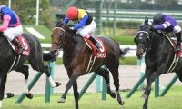 【次走】京都記念5着のワグネリアンは大阪杯を視野に