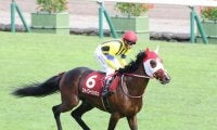 【次走】京都記念2着のステイフーリッシュは日経賞を目標に