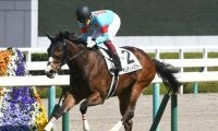 【京都牝馬S予想オッズ】混戦模様の牝馬重賞　ギルデッドミラーらが人気の中心