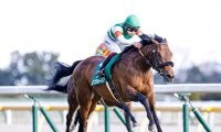 【共同通信杯回顧】エフフォーリア無傷の3連勝　エピファネイア産駒の奥深い資質/栗山求コラム