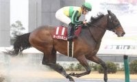 混戦のフェブラリーＳ。注目は「勝ちだしたら止まらない」血を持つ５歳馬