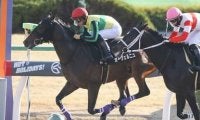フェブラリーＳはどの馬にもチャンスあり。最も勢いある馬の一発に期待