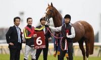 【JRA】ダイヤモンドS出走のパフォーマプロミスが骨折、昨年の鳴尾記念など重賞3勝